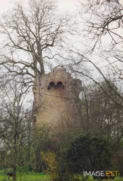Tour du château (Lenoncourt)